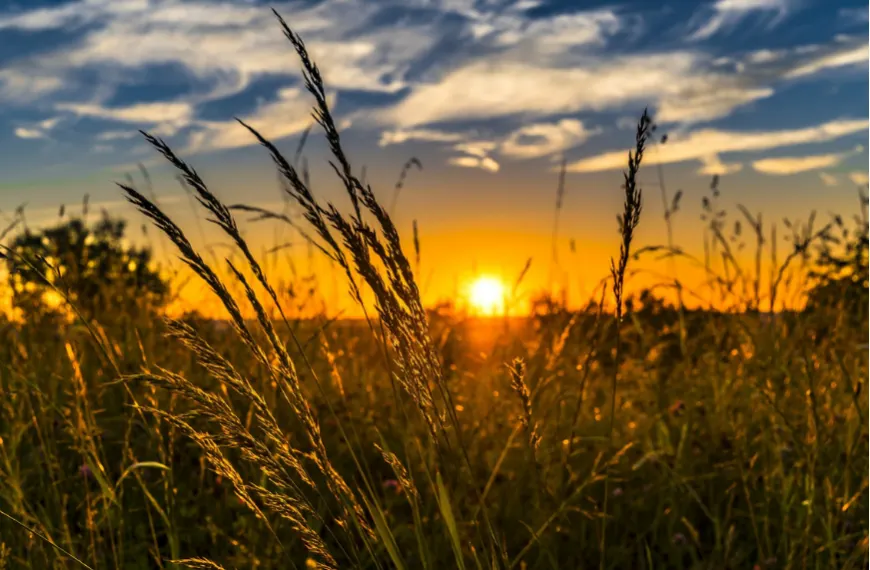 Estate and Retirement Planning for Farmers with David Szalkai
